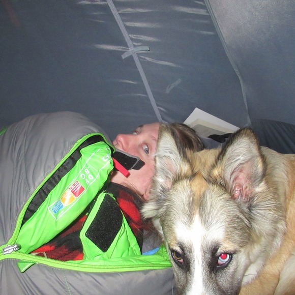 Meet your Posher, Logan - Picture 1 of 1